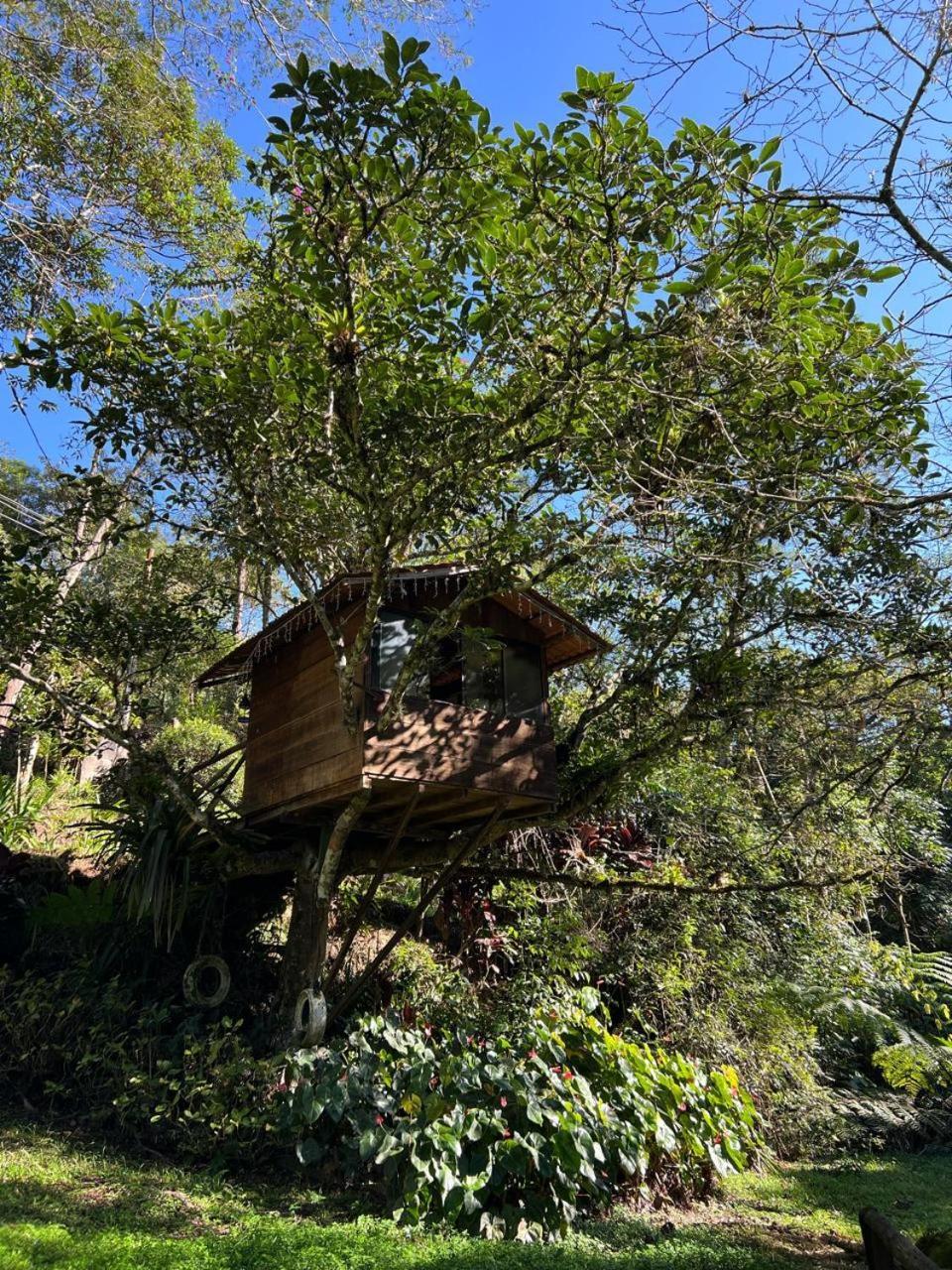 Pousada Sitio E Poesia Teresopolis Ngoại thất bức ảnh